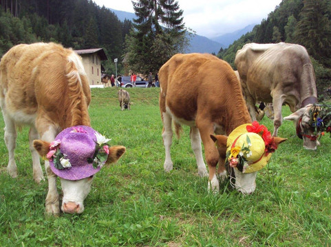 ITALIAN TOUR GUIDES-米兰必去景点