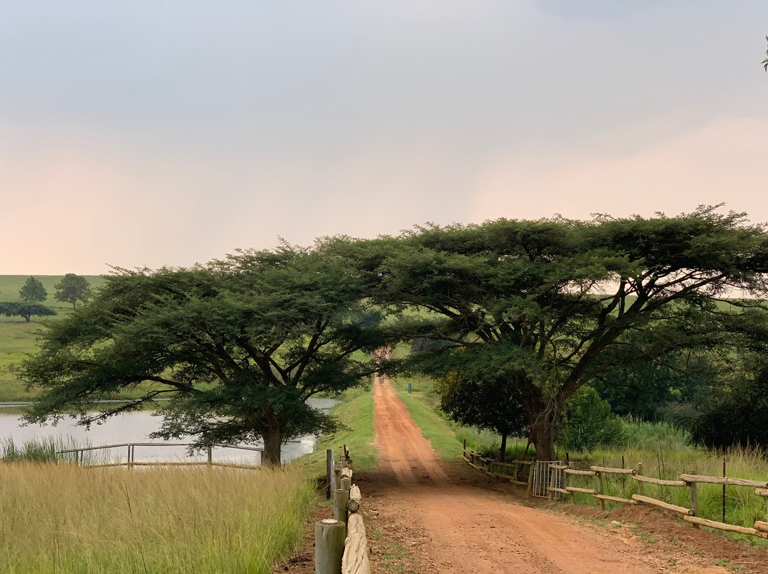 Hillside Farm B & B主图