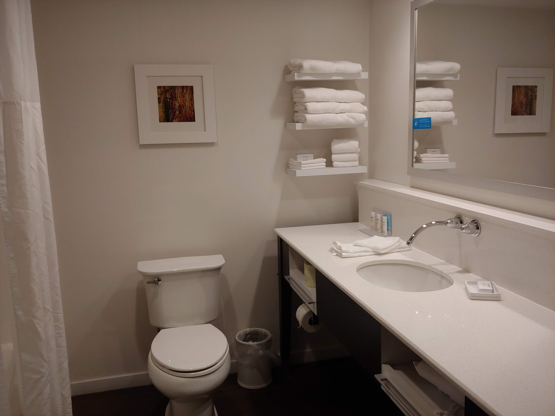 Hampton Inn & Suites Asheville Airport-浴室