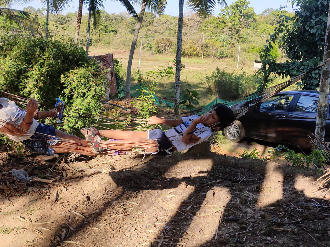 Greenways Treehut & Villas主图