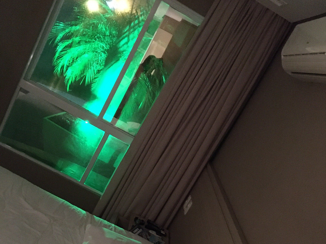 Viageiro Casa Hotel主图