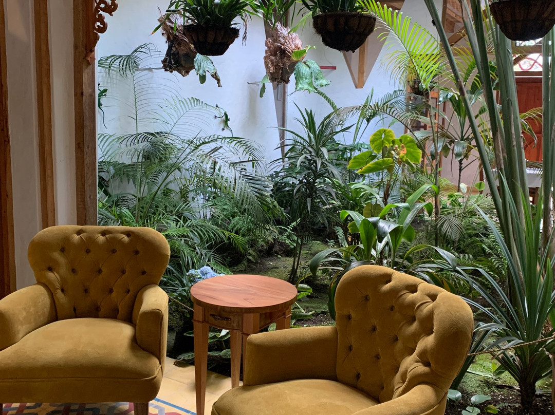 Hotel Terrazas de Salento主图