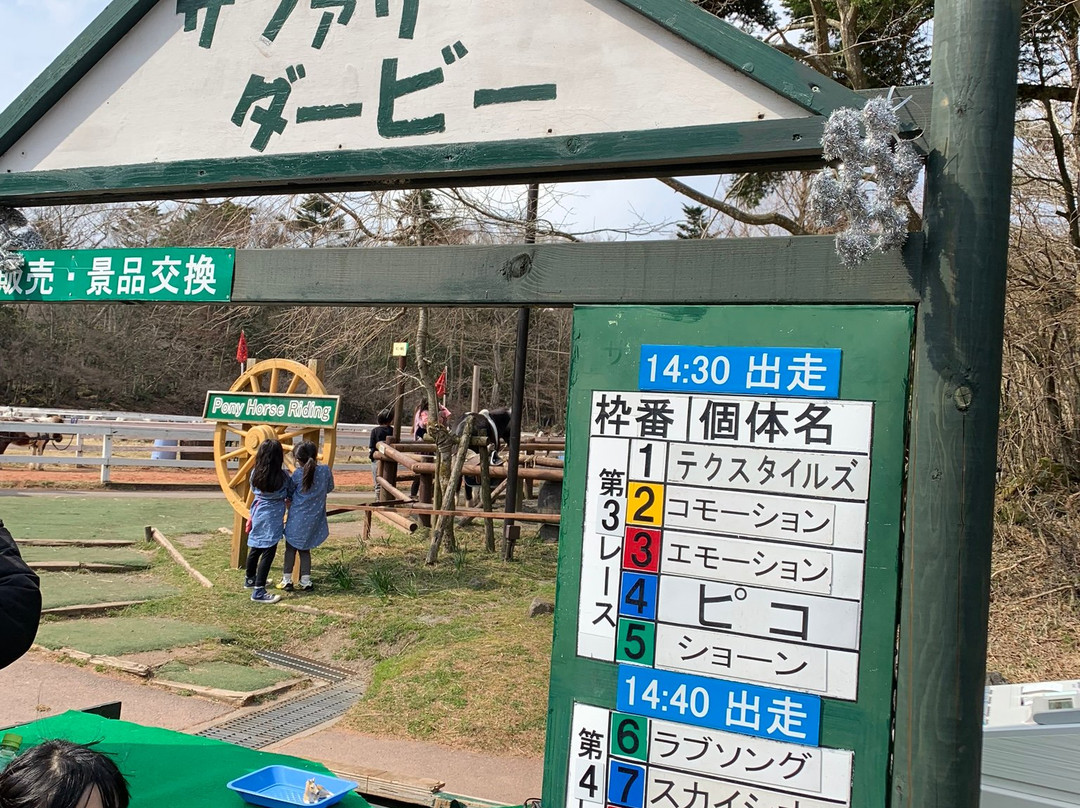 Fuji Safari Park景点图片