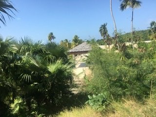 Caneel Bay Resort主图