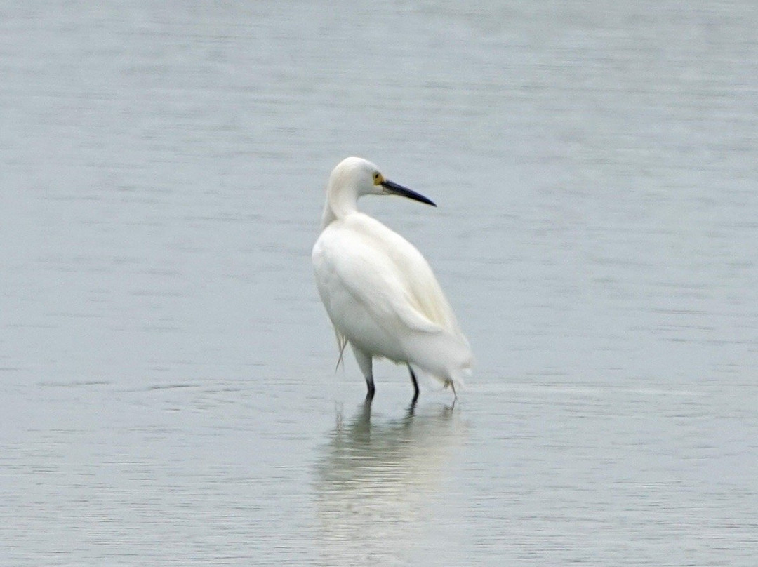 El Yali National Reserve-Santo Domingo必去景点