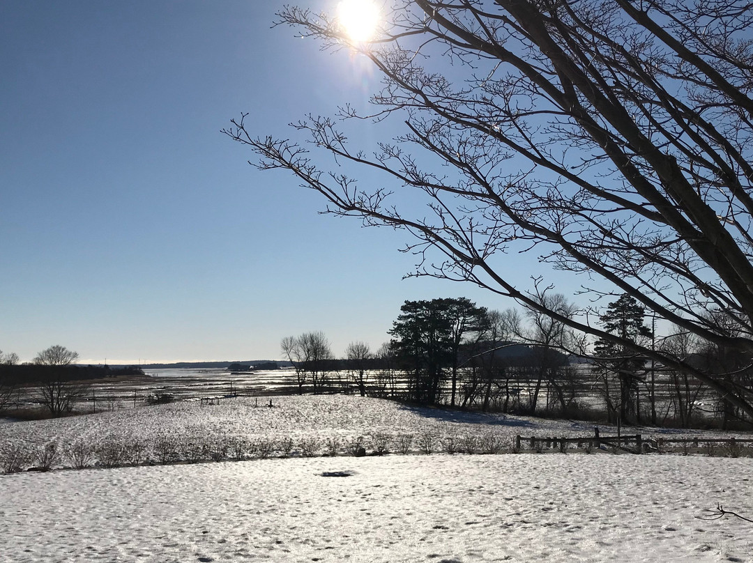 The Inn At Castle Hill On The Crane Estate主图