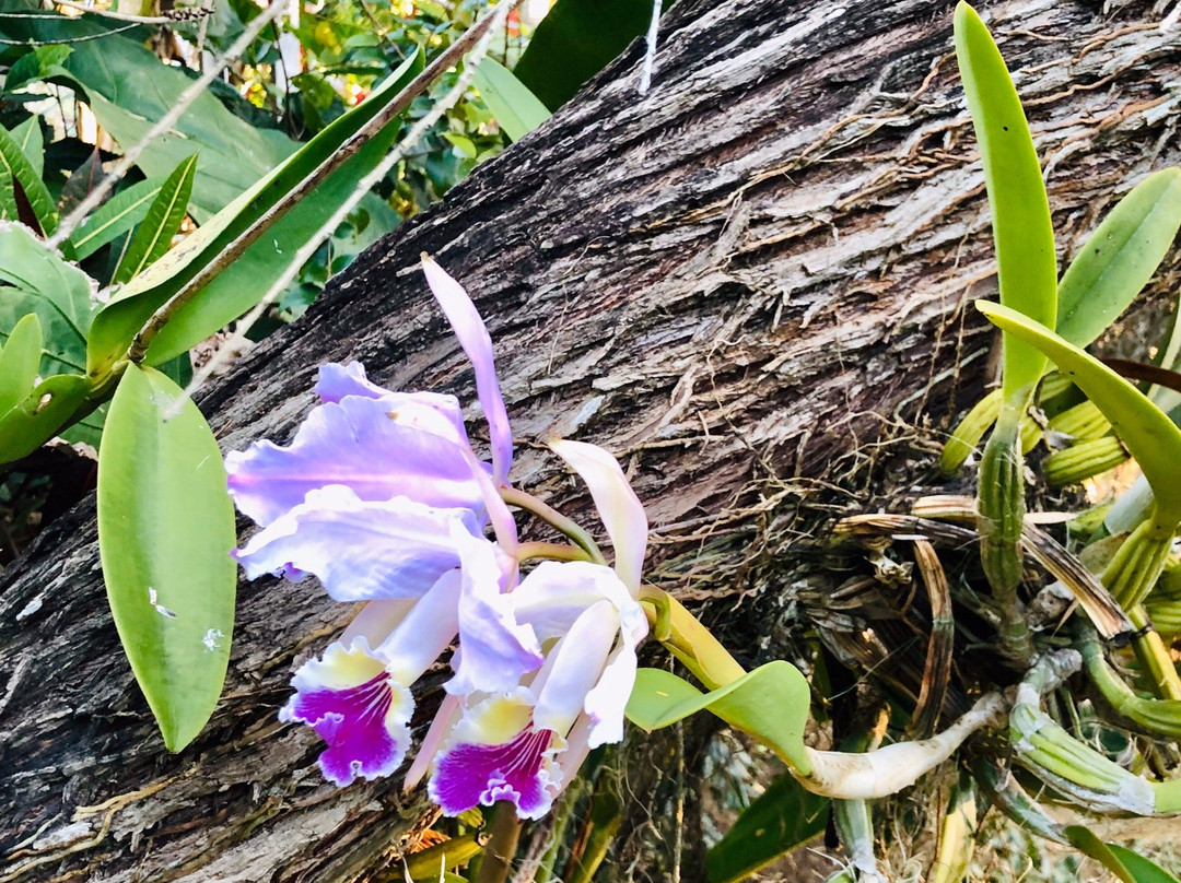 Casa Vivo in Soroa主图