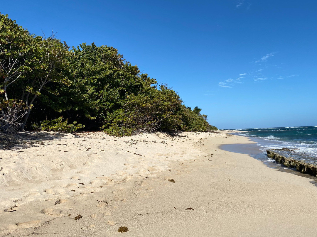 Cap Macre-Le Marin必去景点