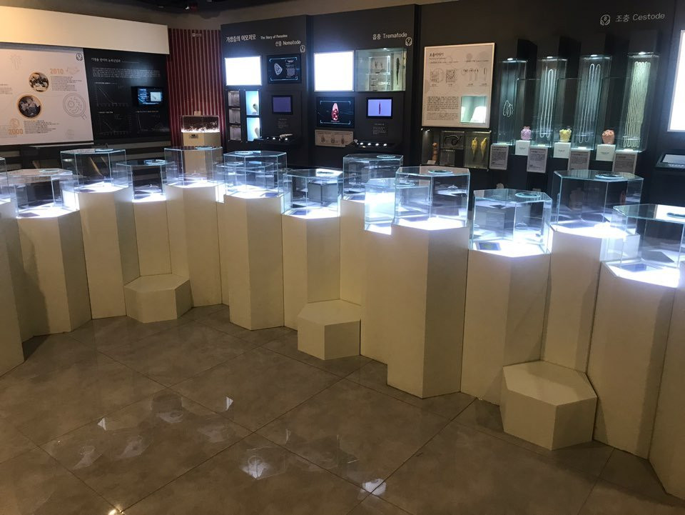 KAHP Parasite Museum-首尔必去景点