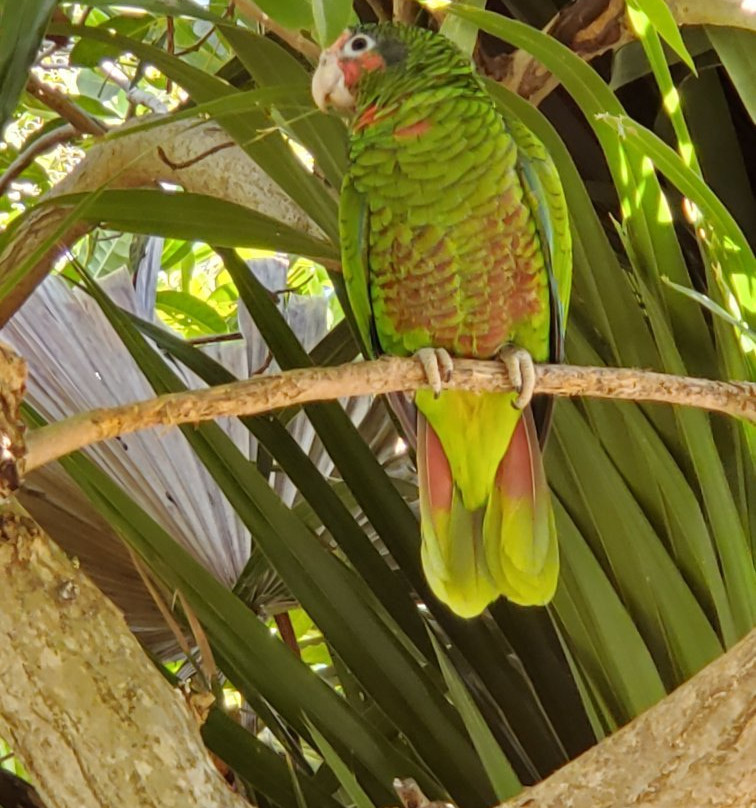 Captain Ron's Diving-Norristown必去景点