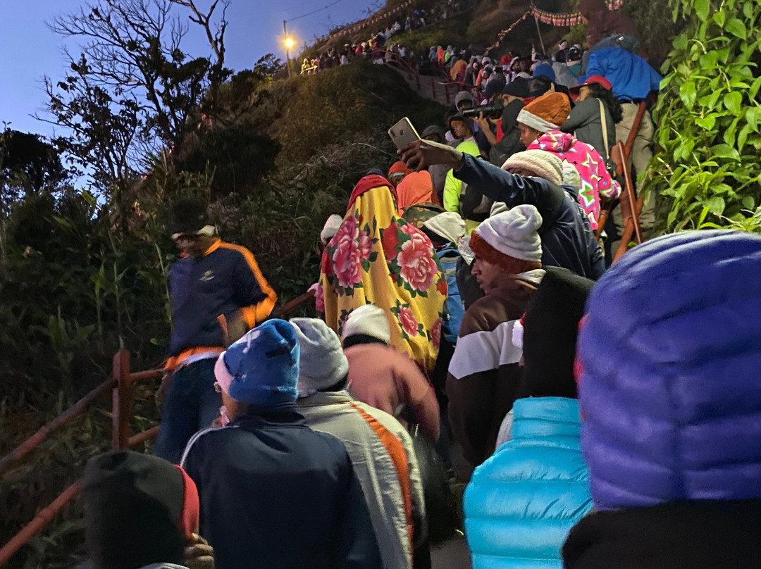 Glass Rooms Accommodations Adam's Peak主图