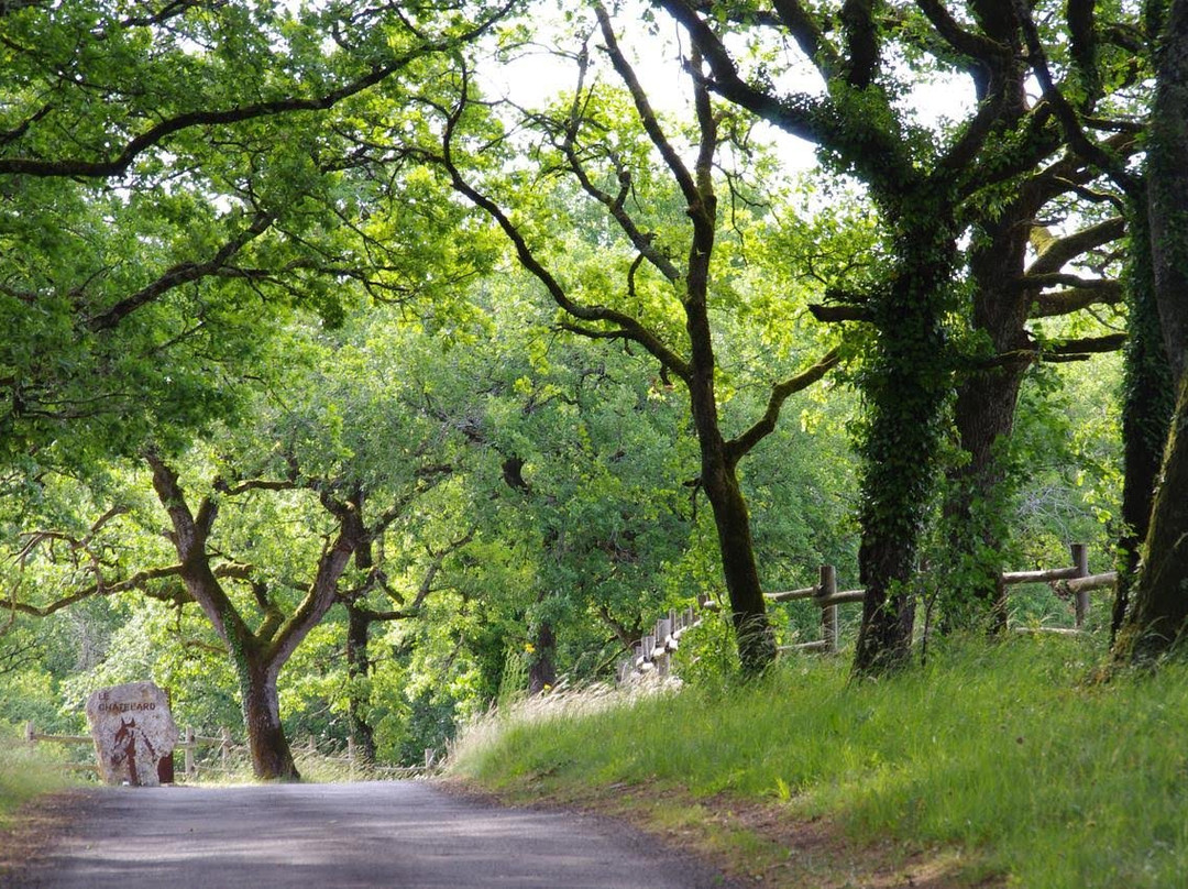 Domaine Du Chatelard主图