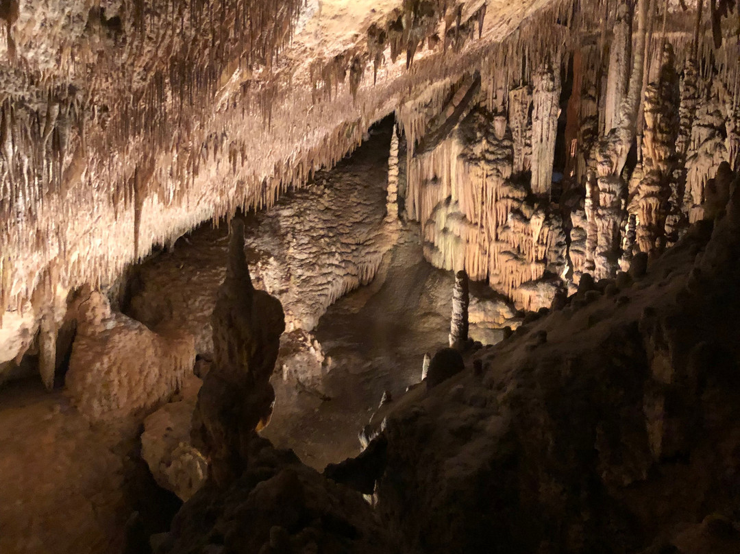 Cuevas del Drach-克里斯托港必去景点