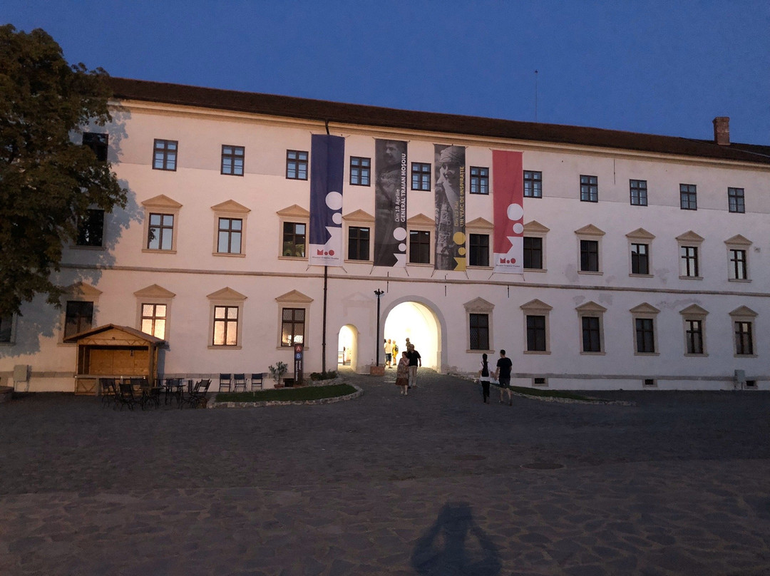 Museum of Oradea景点图片