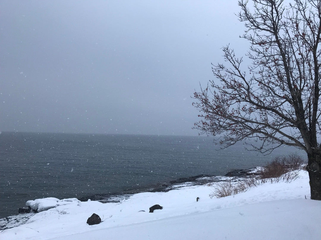 Bluefin Bay Family Of Resorts主图