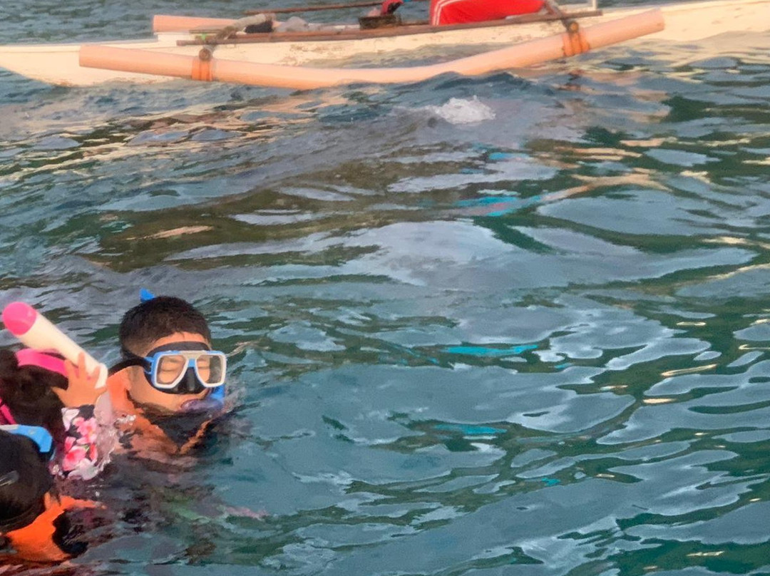 Oslob Whaleshark Watching景点图片