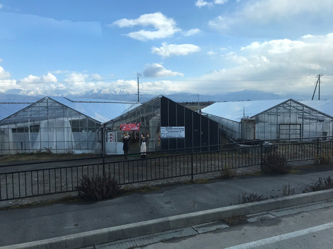 Strawberry Farm-寒河江市必去景点