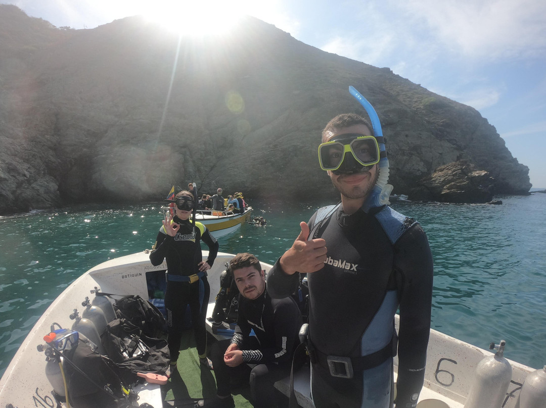 Bigfish Scuba-圣玛尔塔必去景点