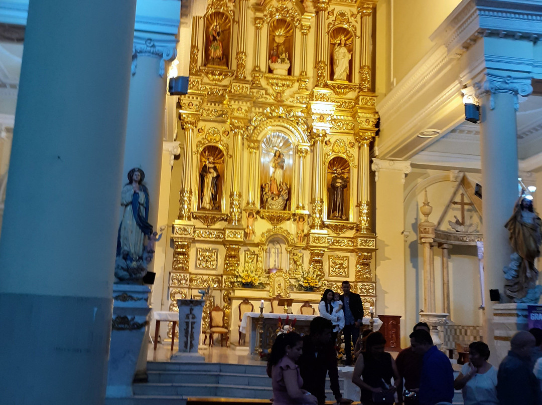 Catedral Metropolitana de Guayaquil景点图片