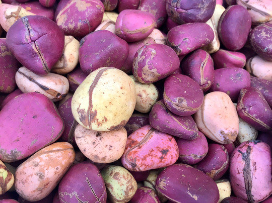 Mercado Central-Bissau必去景点