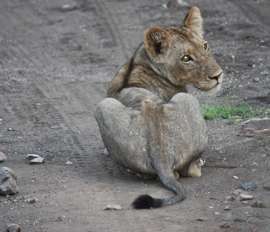 Tambuzi Safaris-霍德斯普鲁特必去景点