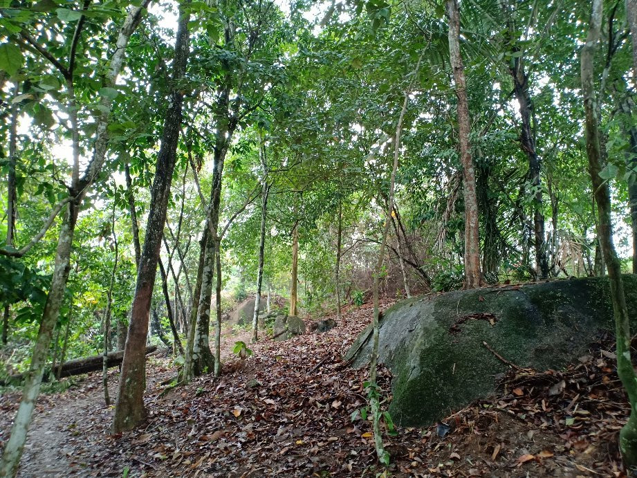 Bukit Mor-Parit Jawa必去景点