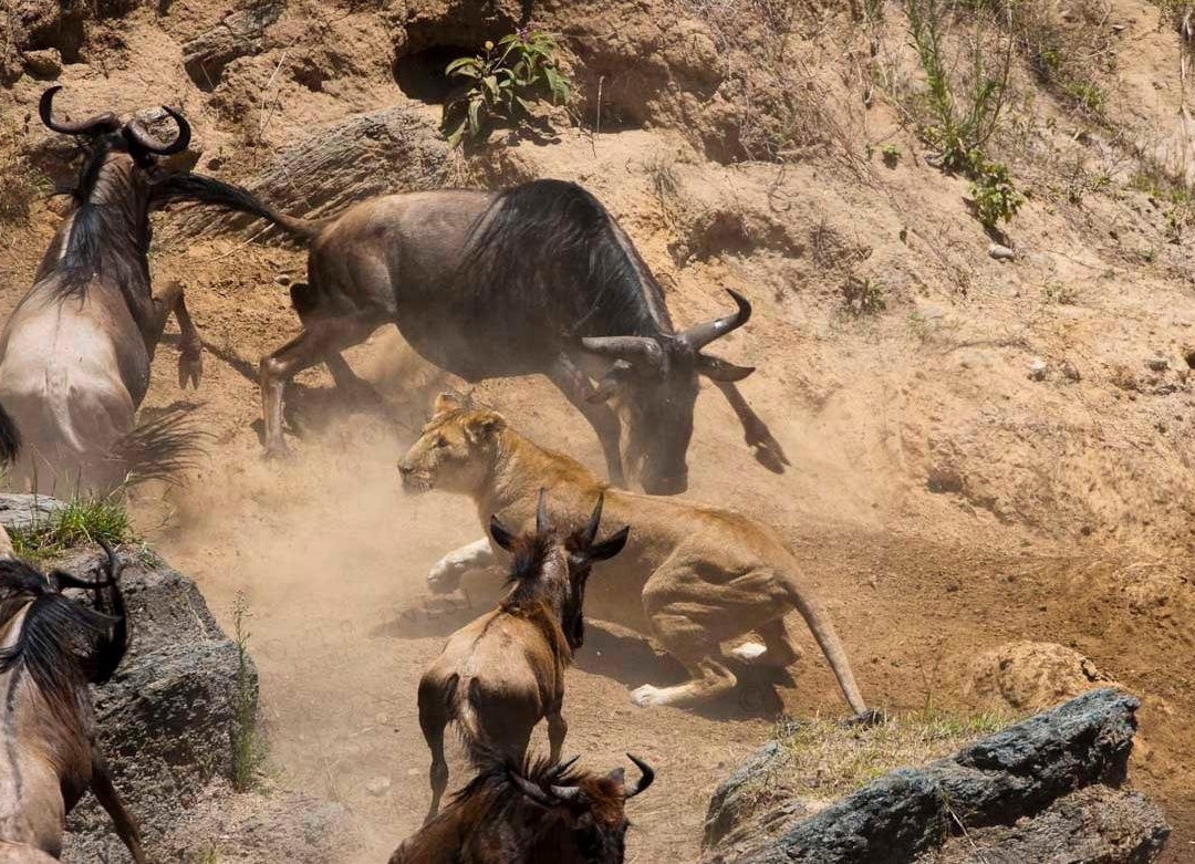 Expedition Happy Hour-查佛必去景点