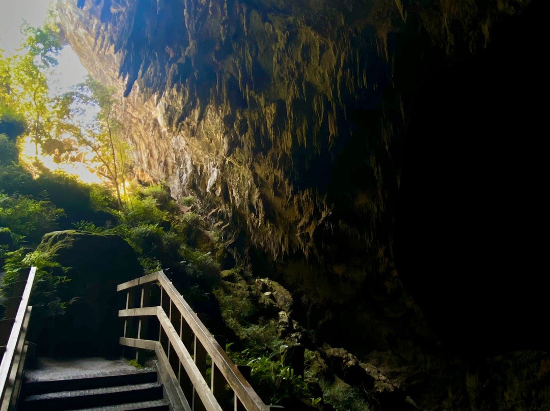 Rawhiti Cave Track景点图片