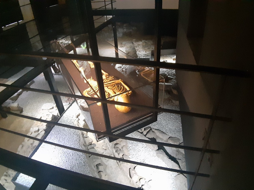 Nucleo Arqueologico Porta dos Figos景点图片