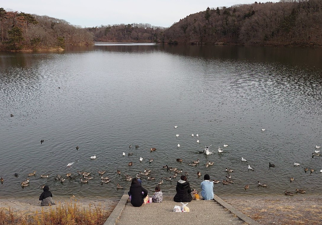 Kasenuma Lake-多贺城市必去景点