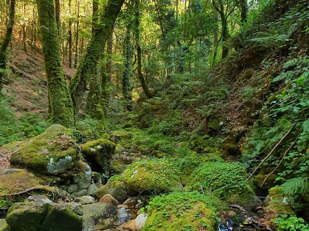 Ruta de Senderismo Rio Da Fraga景点图片