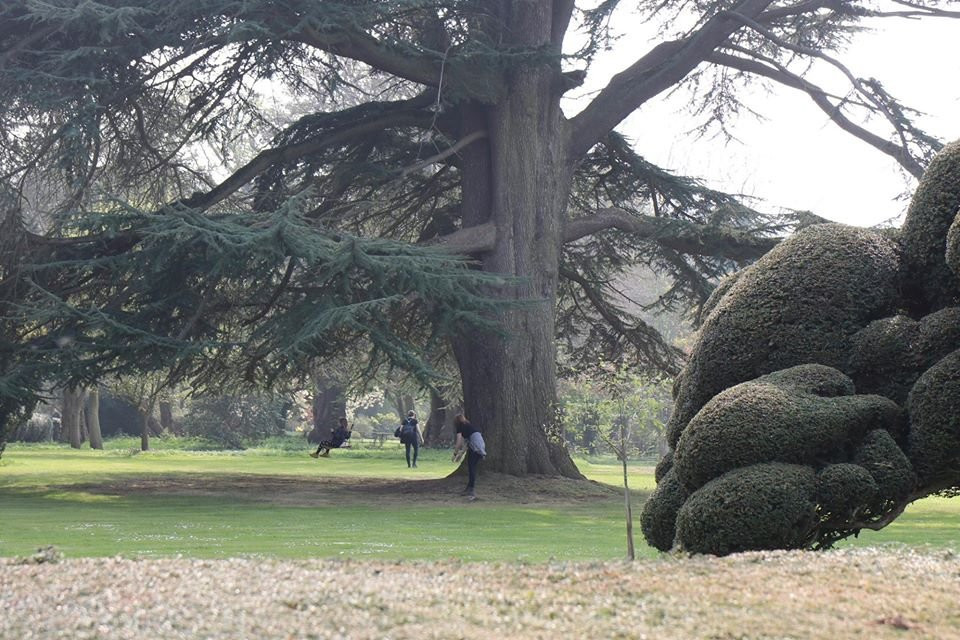 Stow Hall Gardens-Stow Bardolph必去景点