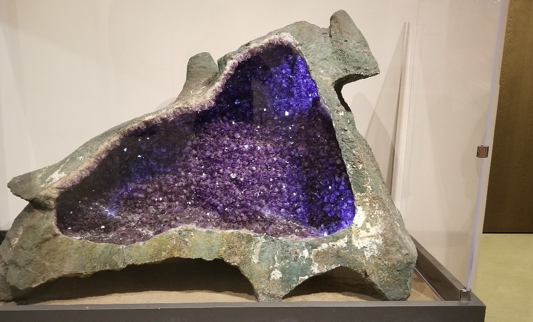 Museum of Nature & Science-拉斯克鲁塞斯必去景点