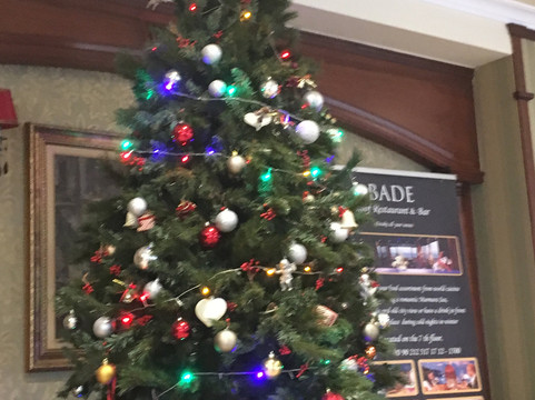 大雅乌兹酒店主图