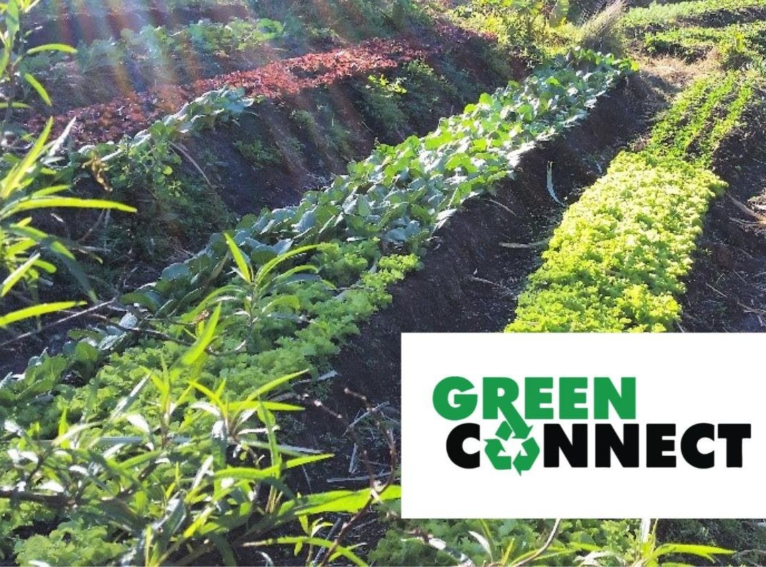 Green Connect Farm景点图片