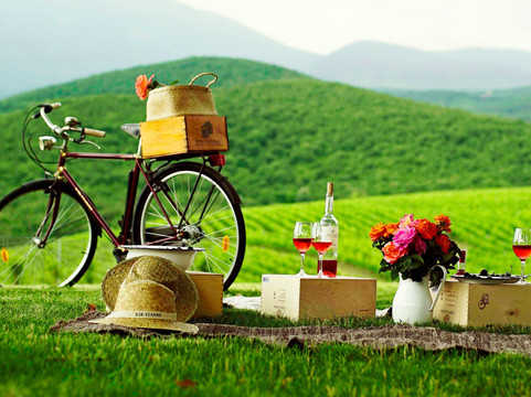 RT - Rallis Travel  Unique Experiences