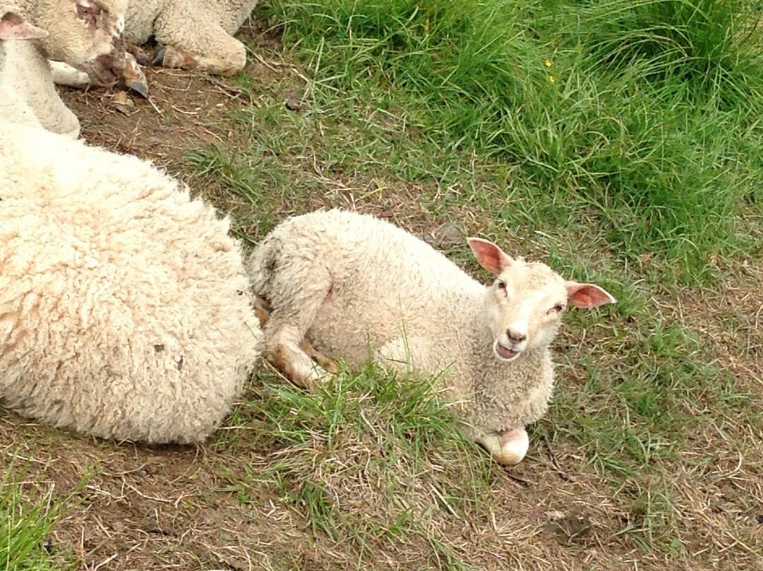 Maanselän Etappi-Sotkamo必去景点