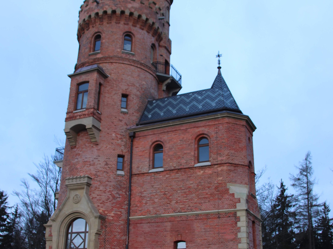 Goethe's Lookout Tower景点图片