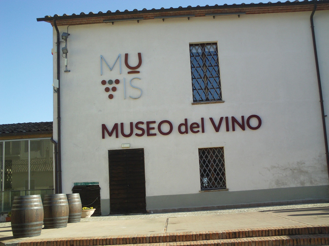 MUVIS - Museo del Vino景点图片