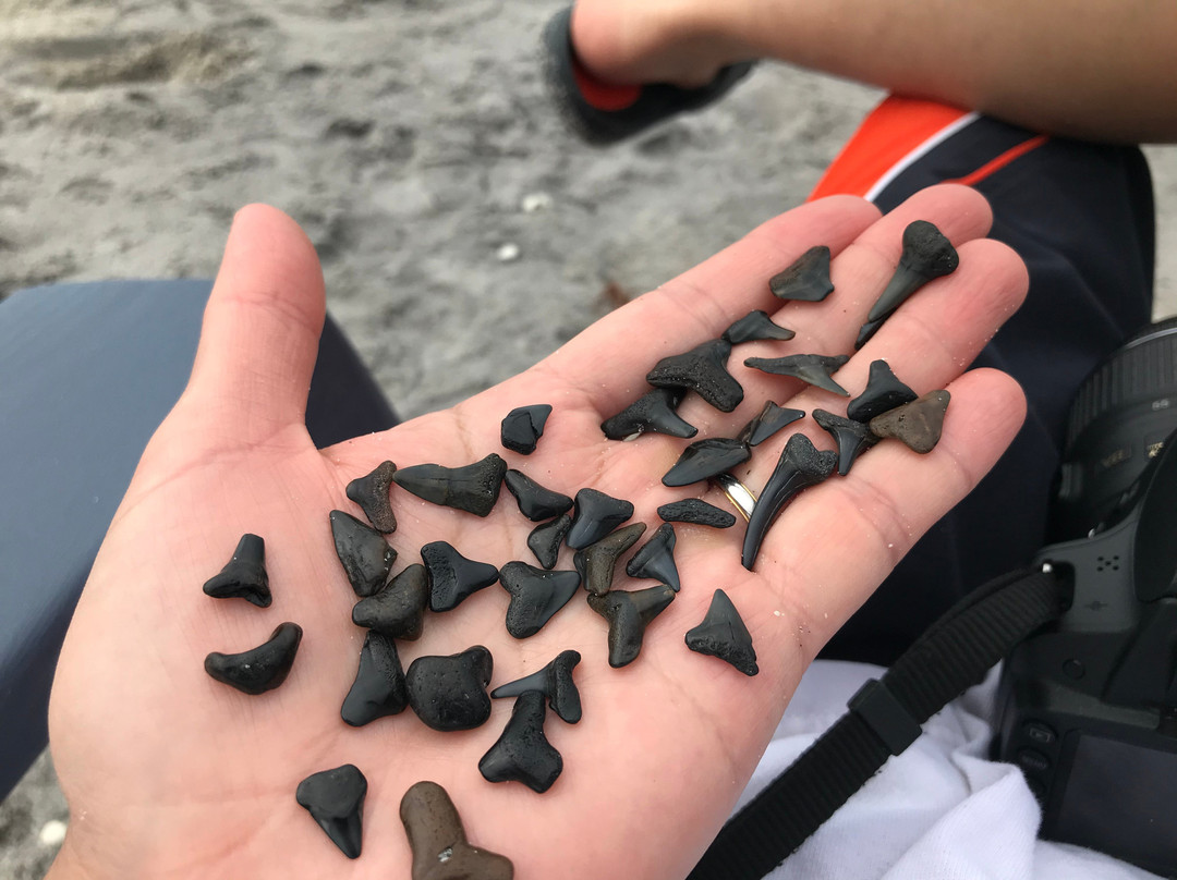 Pearl Beach Inn主图