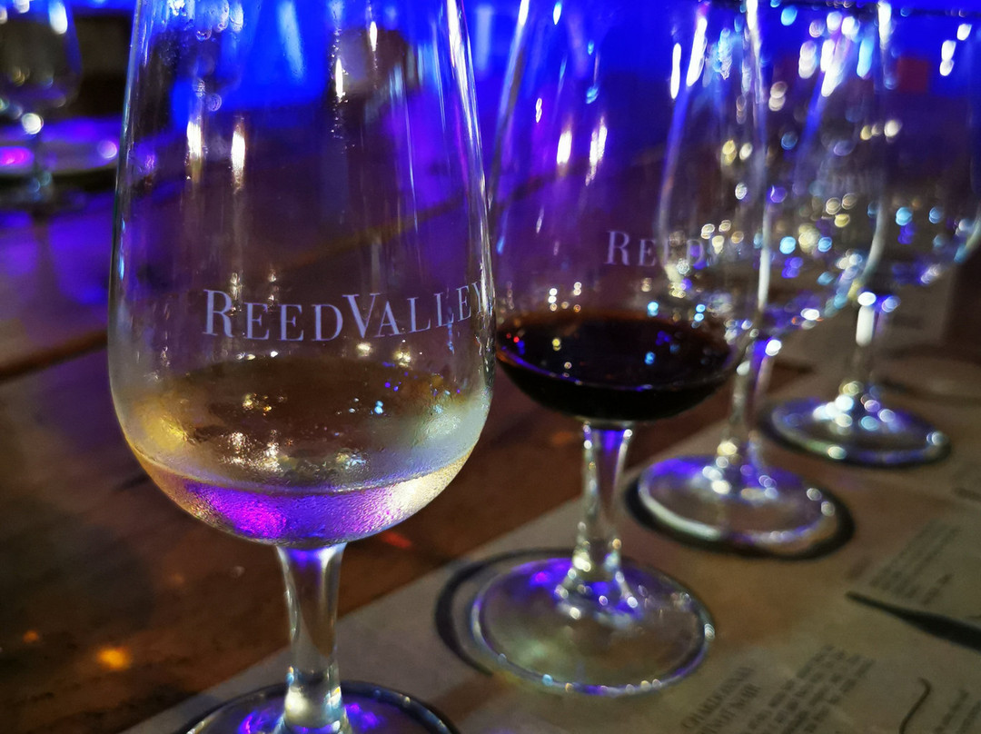 ReedValley-莫塞尔贝必去景点