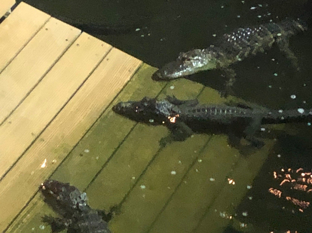 Smugglers Cove Adventure Golf-布雷登顿必去景点