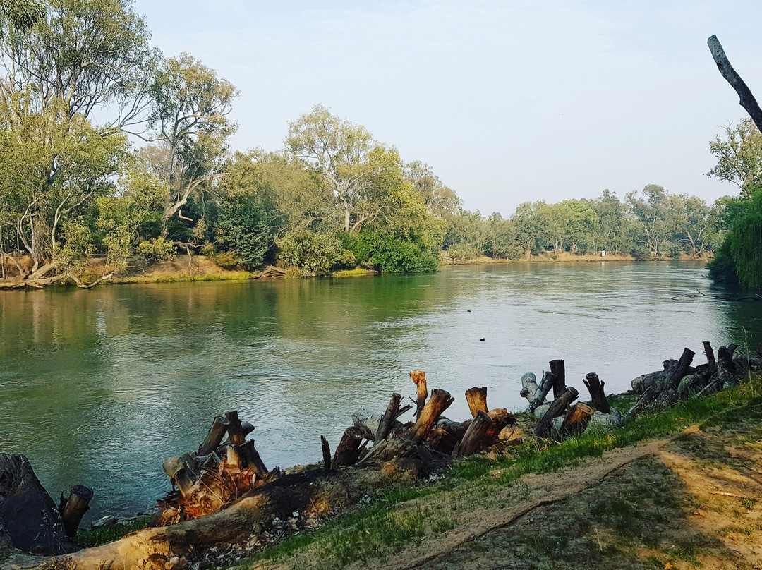 Winsor Park Motor Inn主图