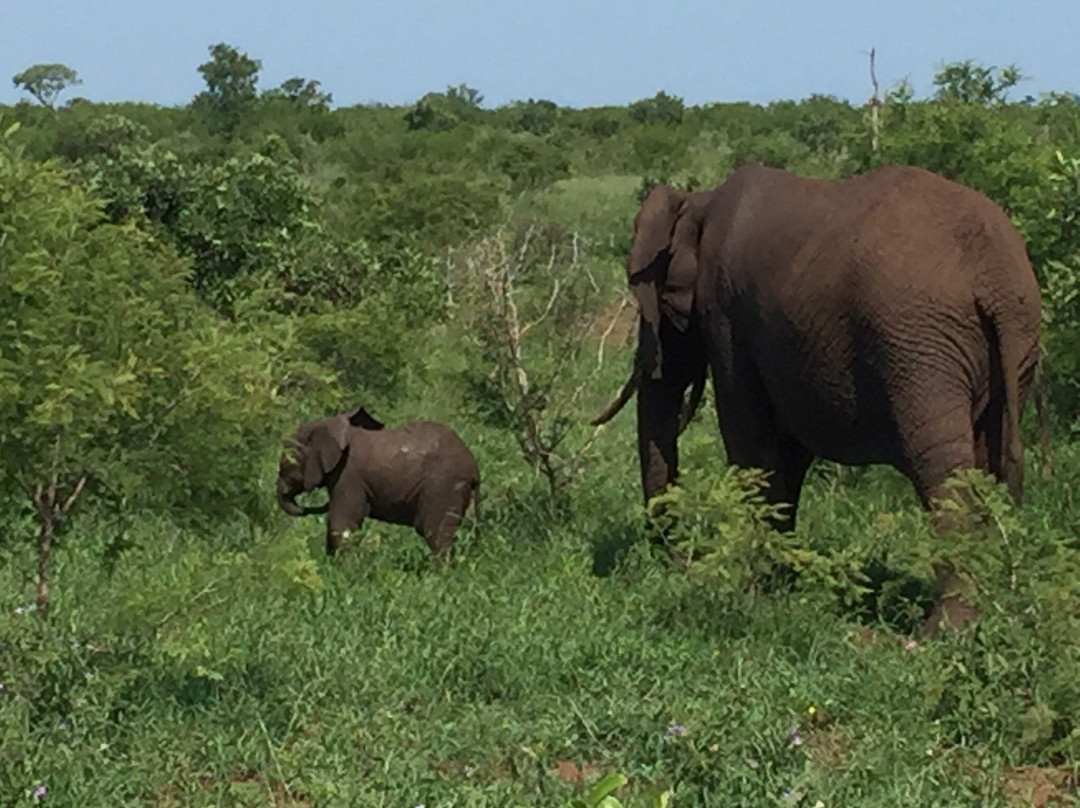 South African National Parks-白河必去景点