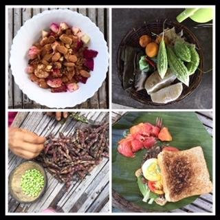 Natures Healing Home-San Fernando La Union必去景点