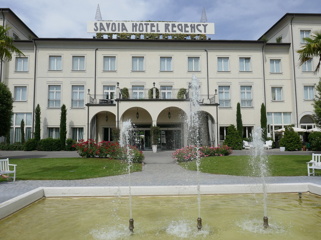 萨沃亚摄政酒店主图