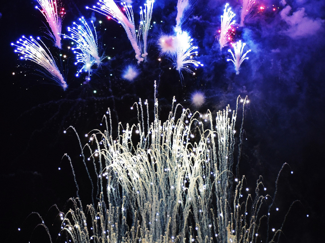 Omagari Fireworks-大仙市必去景点