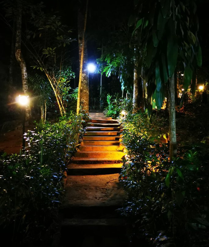 Le Leopard D' Argent主图