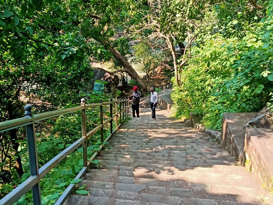 Panna National Park Safari景点图片