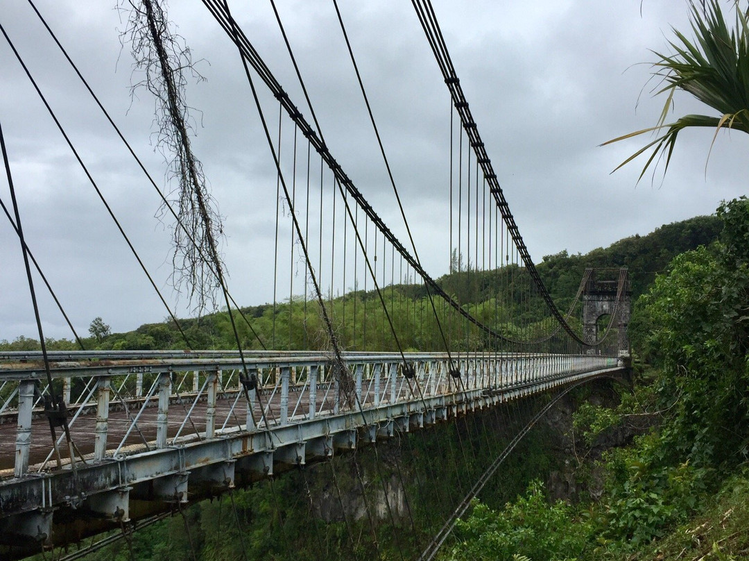 Pont Suspendu de la Rivière de l'Est景点图片